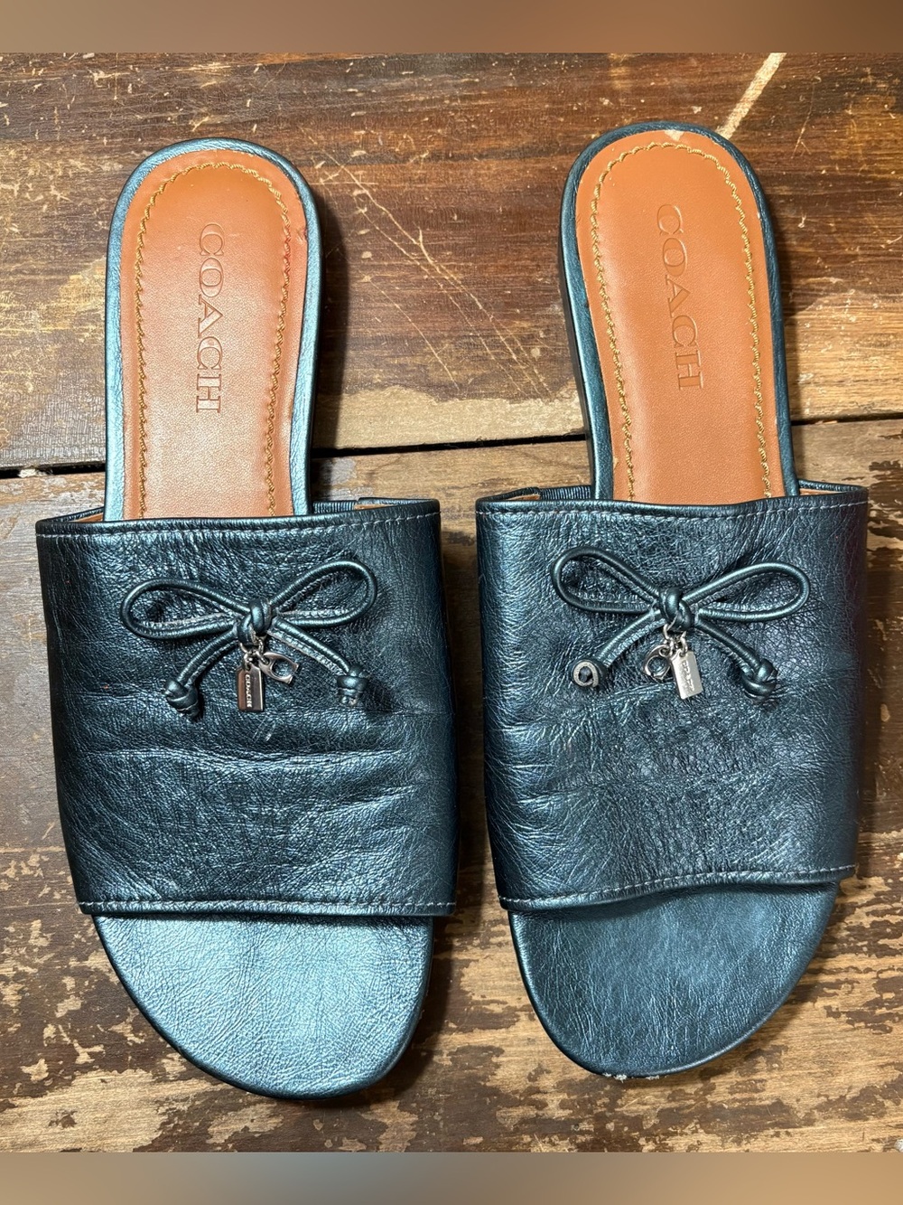 Coach Leather Tassel Slide Sandals Metallic Blue Logo Charm Size 10 Old Money